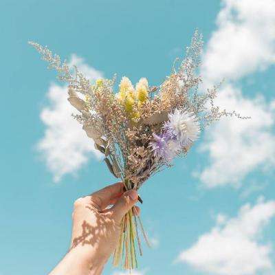 博鱼(boyu)·体育手机app下载